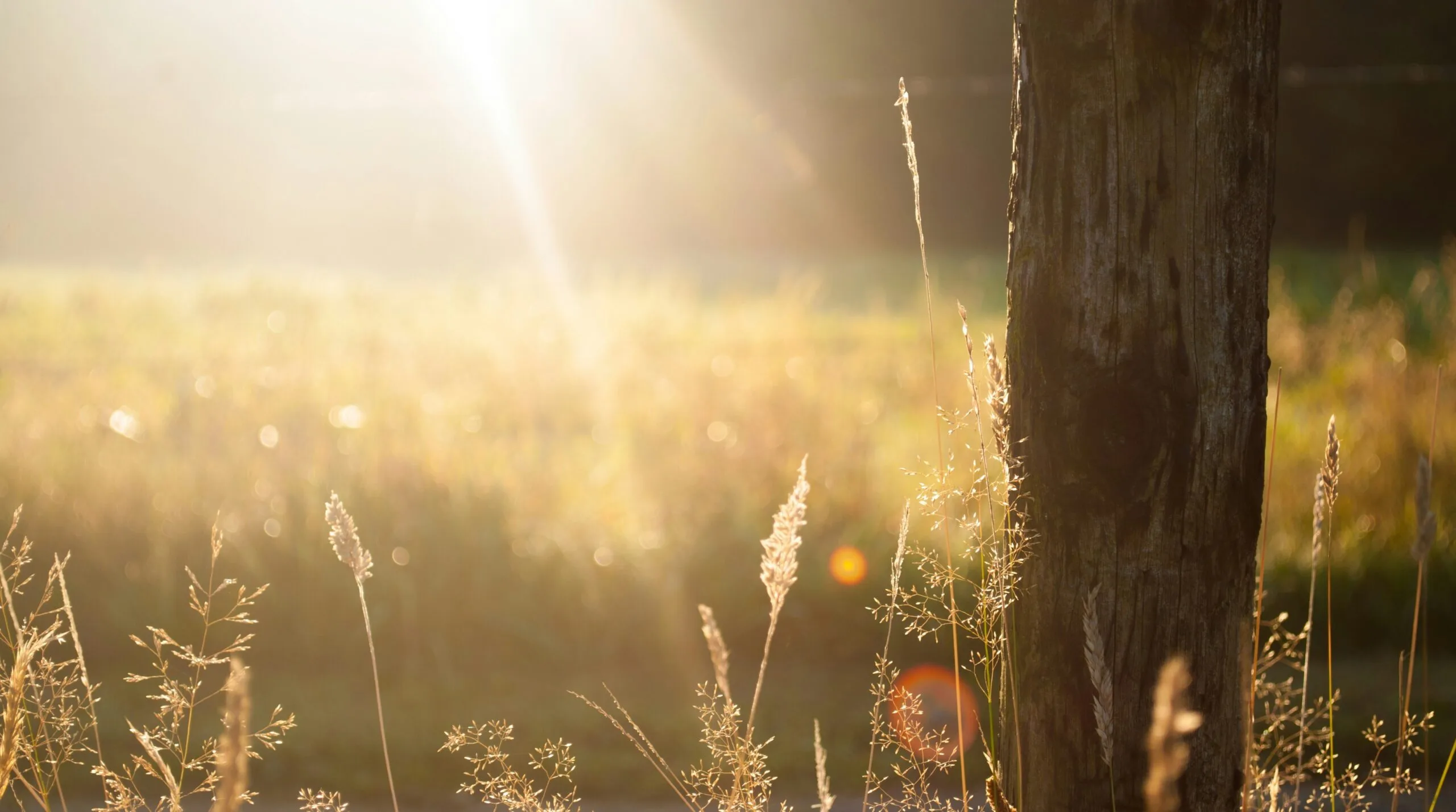 zwaddi-YvYBOSiBJE8-unsplash Photo by Zwaddi on Unsplash