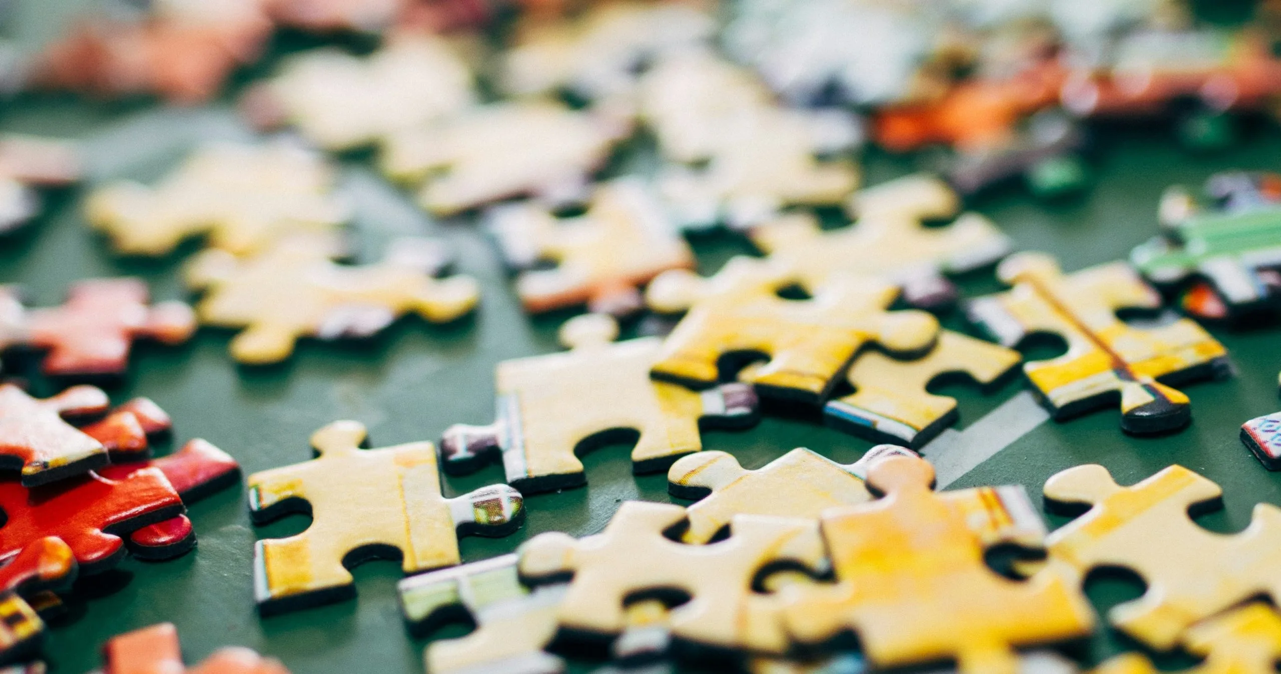 Photo by Nathalia Segato on Unsplash